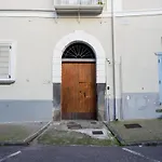 Ficus - De Vivo Realty